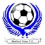 Bydfwrd logo