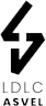 Lyon logo