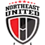 Nwrtyst logo
