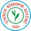 Ryza Sbwr logo
