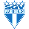 Sgv Freiberg logo