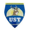 Tchologo logo