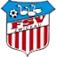 Tsfykaw logo