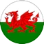 Wylz - Sydat logo